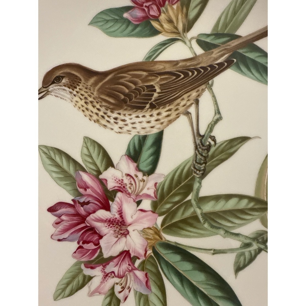 Spode Garden Birds Plate No. 5 of 6 Mistle Thrush Plate England Gold Trim 9.5" - Picture 4 of 7